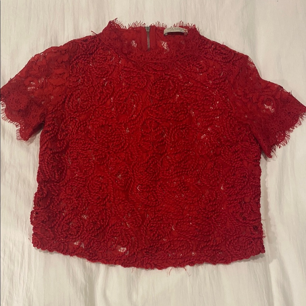 Zara Red Lace Crop Blouse